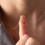 18k Solid Gold Preppy Heart Necklace