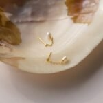 18k Solid Gold Pearl Drop Earring - Image 2